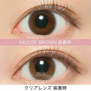 ReVIA TORIC散光 1Day – Circle Muuse Brown 日拋 10片裝(訂20-25工作天)